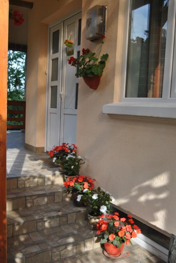 Casa Kelemen Apartment Sovata Exterior photo