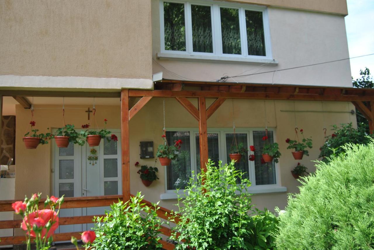 Casa Kelemen Apartment Sovata Exterior photo
