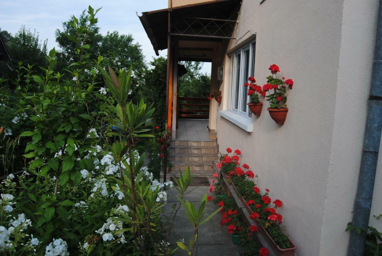 Casa Kelemen Apartment Sovata Exterior photo